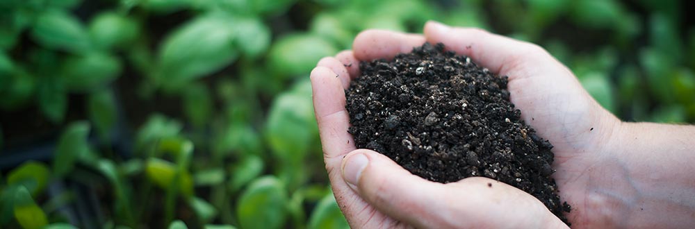 La main verte des normands&nbsp;confinés