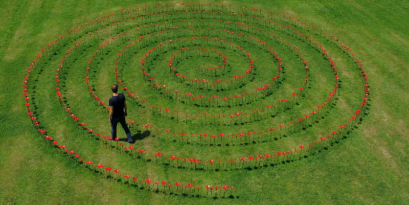LES COQUELICOTS S&rsquo;ÉPANOUISSENT EN&nbsp;BRETAGNE