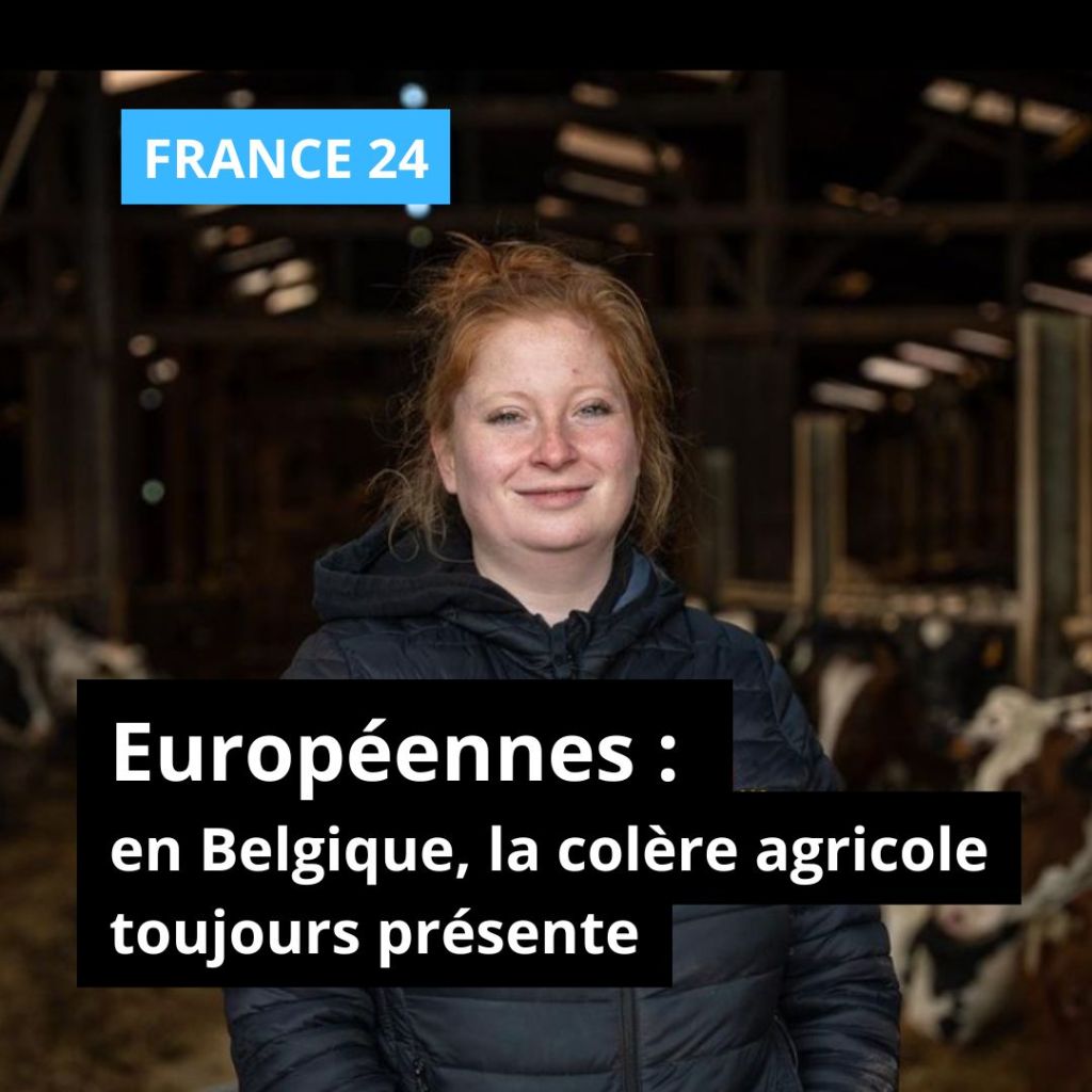 Européennes : en Belgique, la colère agricole toujours présente • FRANCE&nbsp;24